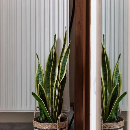 Destino Overlooking The Venetian Port Of Chania * Ханья