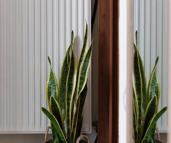 Destino Overlooking The Venetian Port Of Chania * La Canée